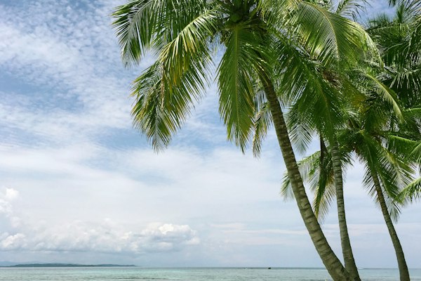 Miami, Florida IVF clinics